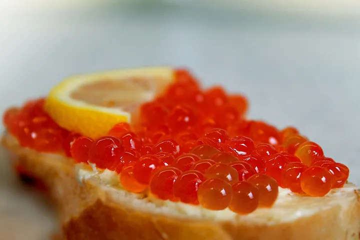 Каждый вид икры, от цвета до вкуса, имеет свои отличительные характеристики. Икра белуги, например, маслянистая и гладкая, с ореховым привкусом, похожим на фундук. Оттенок блестящих икринок варьируется от черного до зеленовато-серого. Знаменитый «каспийский хлопок» настоящей икры возникает, когда яйцо лопается во рту. Икра – это деликатес, встречающийся в природе. Это диета с высоким содержанием белка, аминокислот, железа и витамина B12.